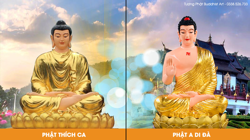 Đức Phật Thích Ca Và Phật A Di Đà Giống Hay Khác Nhau?